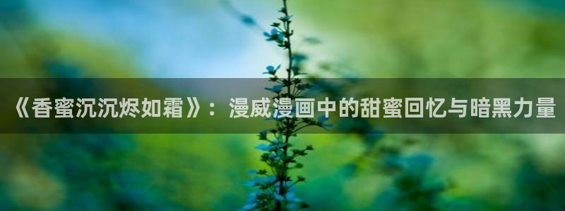 风车漫画app免费下载